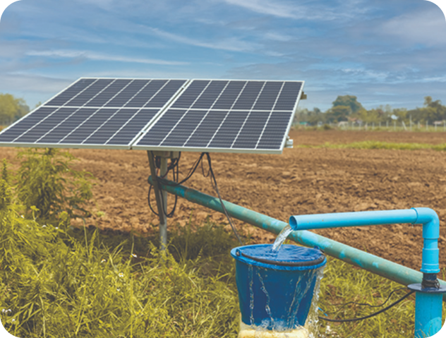 Renewable Energy Adoption